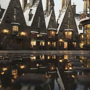 Meet your Posher, Bernardo